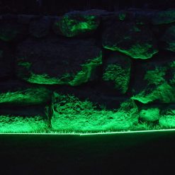 green strip light - lediflex