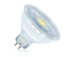 12v Lamps