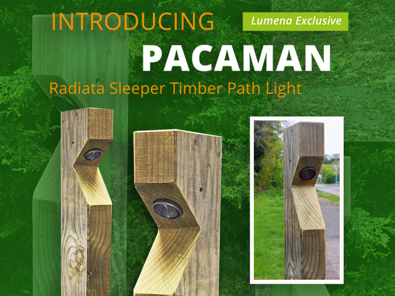 Pacaman Timber Path Lights