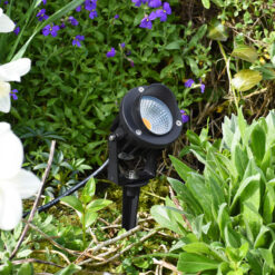 Solar spike light in plants